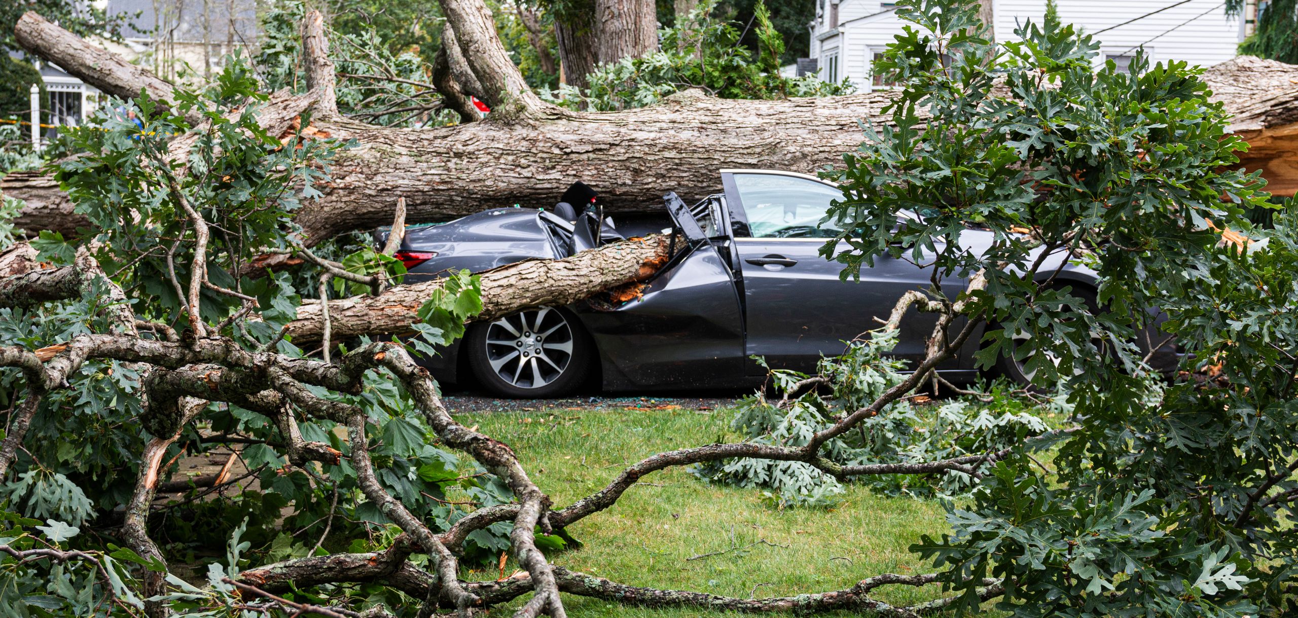 Tree fallen on car during storm